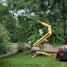 Best Tree Disease Treatment  in Portland, TX